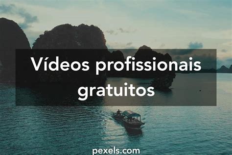 nideos gratis|Vídeos profissionais gratuitos · Pexels Videos.